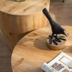 Tavolino da salotto rotondo in legno con contenitore, stile retrò, adatto al soggiorno, alla sala da pranzo o all'ufficio.
